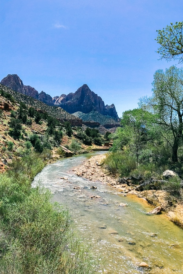 view of virgin river from pedestrian bridge on Pa'rus Trail - Zion National Park Travel Guide | justonecookbook.com