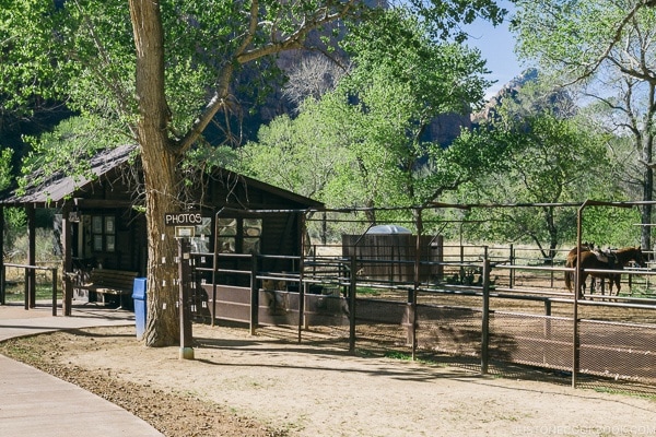 Horse corral near Zion Lodge - Zion National Park Travel Guide | justonecookbook.com