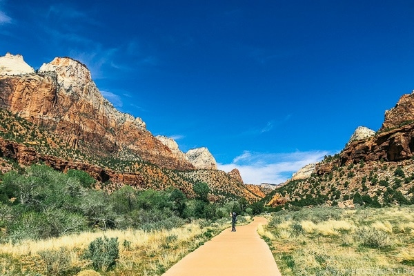 view of Zion Canyon from Pa'rus Trail - Zion National Park Travel Guide | justonecookbook.com