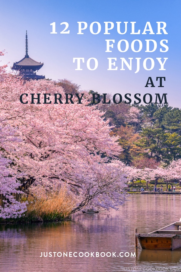 12 Popular Foods to Enjoy at Cherry Blossom Viewing (Hanami) • Just One