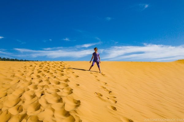 child standing in sand dune - Coral Pink Sand Dunes State Park | justonecookbook.com