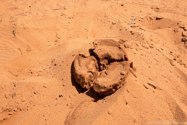 cake made from sand and water showing how the antelope canyon was formed - Lower Antelope Canyon Photo Tour | justonecookbook.co