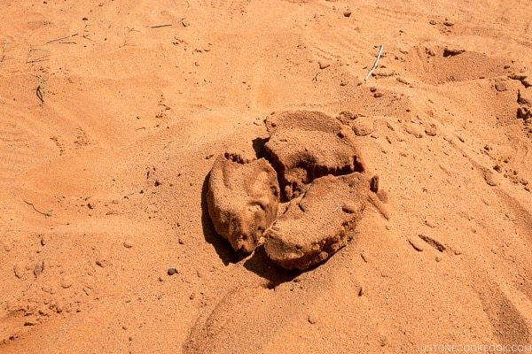 cake made from sand and water showing how the antelope canyon was formed - Lower Antelope Canyon Photo Tour | justonecookbook.com