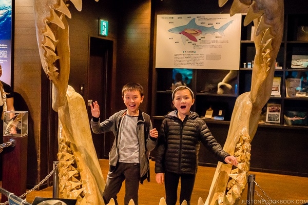 children next to model of a giant shark mouth at Churaumi aquarium at Ocean Expo Park Okinawa | justonecookbook.com