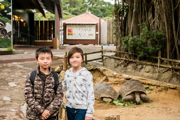 children in front of tortoise at Habu Park - Okinawa World | justonecookbook.com