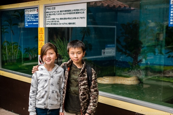 children in front of albino snake at Habu Park - Okinawa World | justonecookbook.com