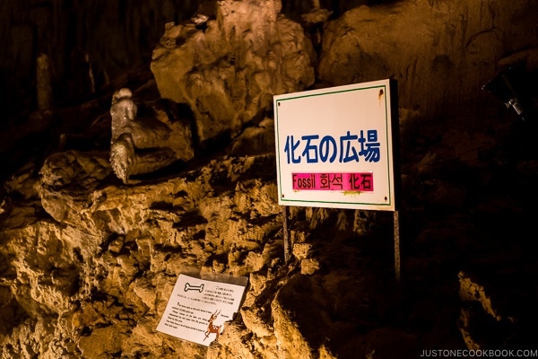 fossils in Gyokusendo Cave - Okinawa World | justonecookbook.com
