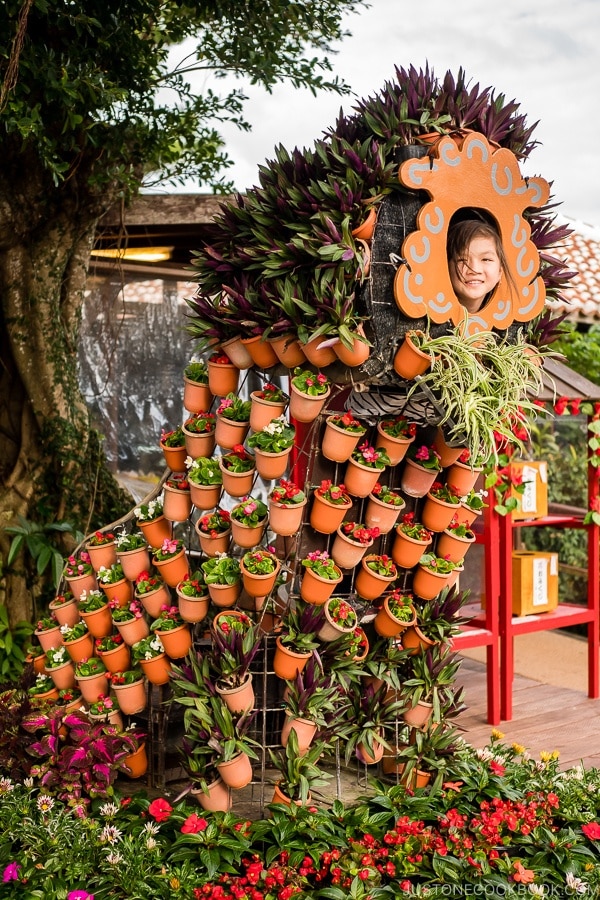 child in a flower arrangement resembling shisa - Okinawa World | justonecookbook.com