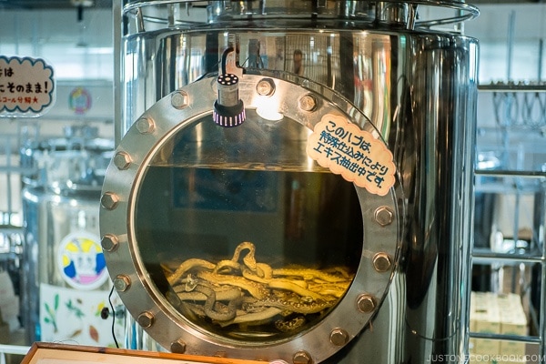 snake in liquor tank - Okinawa World | justonecookbook.com