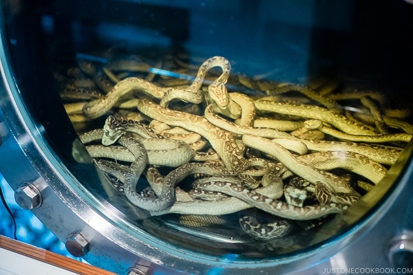 snake in liquor tank - Okinawa World | justonecookbook.com