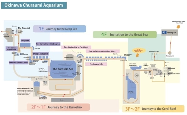 Churaumi Aquarium Floor Guide