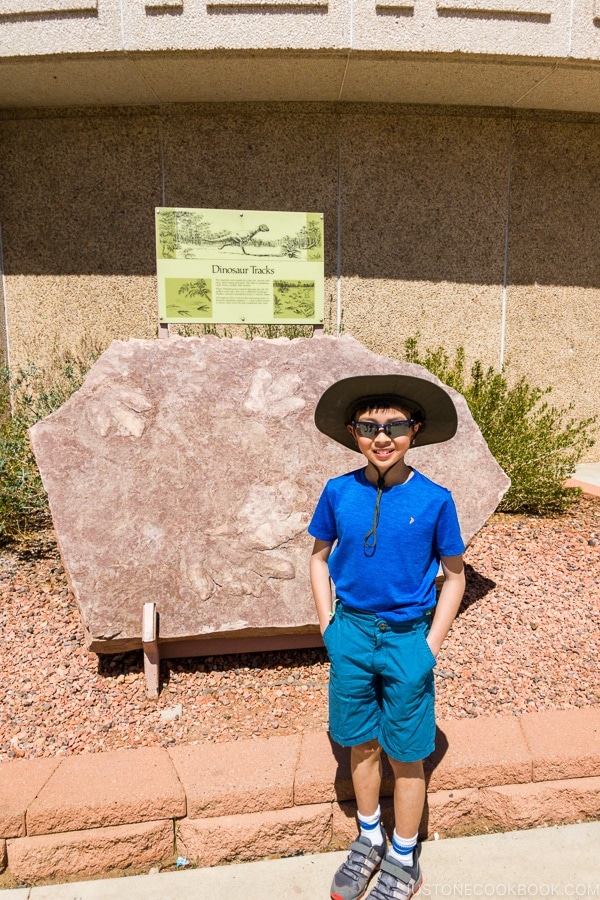 boy in front of dinosaur track - Carl Hayden Visitor Center | justonecookbook.com