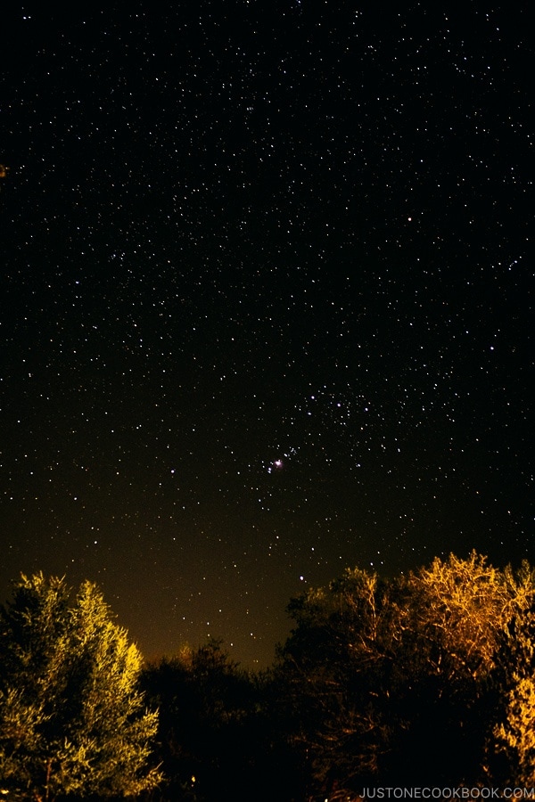 view of stars at night from Kanab Utah | justonecookbook.com