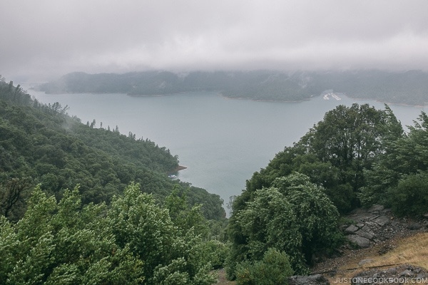 looking over the cliff at Shasta Lake - Lake Shasta Caverns Travel Guide | justonecookbook.com