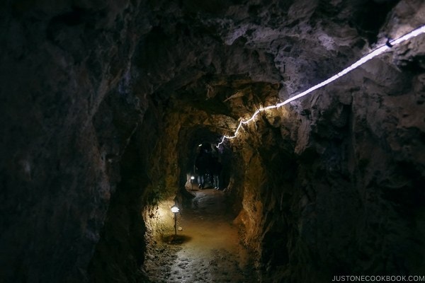 path heading into cave - Lake Shasta Caverns Travel Guide | justonecookbook.com