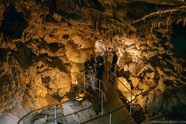 large natural cave filled with stalactites and paved pathway in the center of the cave - Lake Shasta Caverns Travel Guide | justonecookbook.com