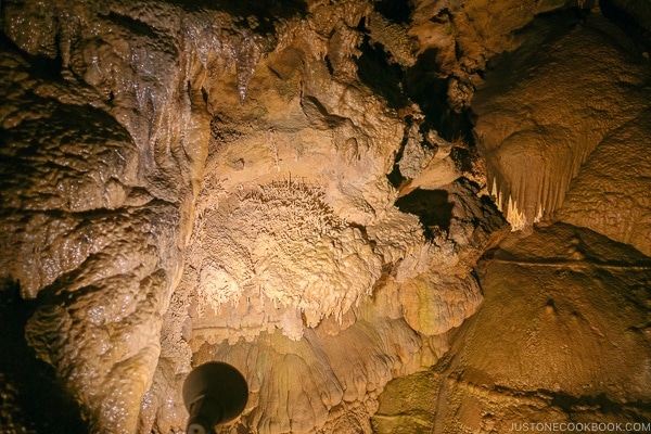 stalactites formation inside cave being lit with a light source - Lake Shasta Caverns Travel Guide | justonecookbook.com