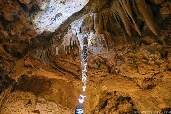 flashlight pointing out stalactites formation inside cave - Lake Shasta Caverns Travel Guide | justonecookbook.com