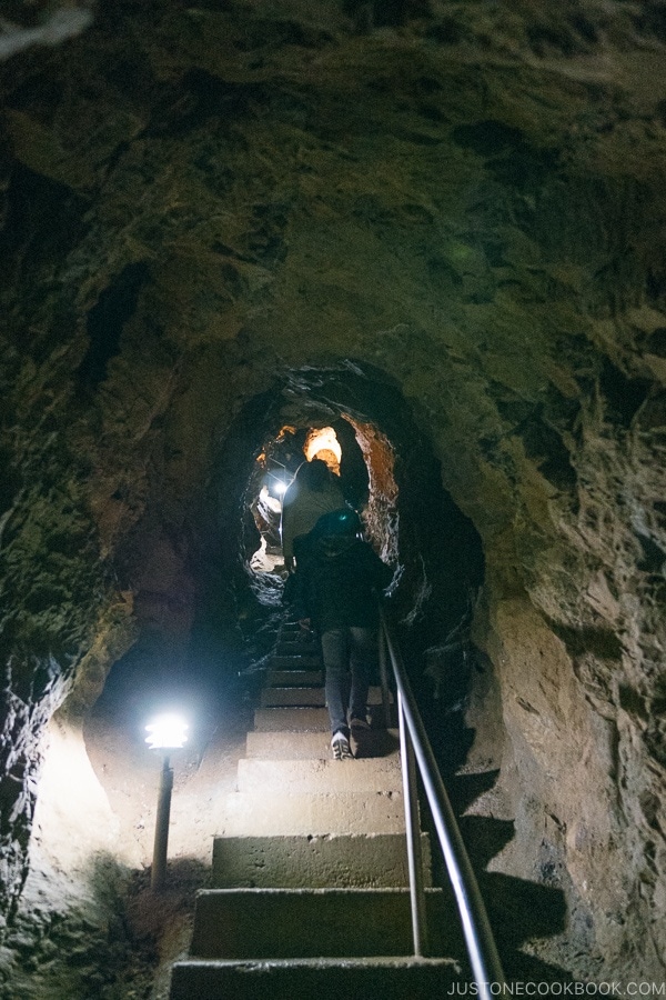 steps going up to explore more cave room - Lake Shasta Caverns Travel Guide | justonecookbook.com