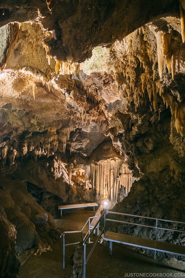 large natural cave filled with stalactites - Lake Shasta Caverns Travel Guide | justonecookbook.com