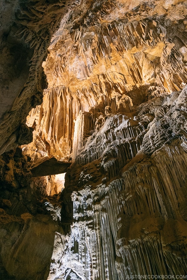 expansive stalactites formation inside cave - Lake Shasta Caverns Travel Guide | justonecookbook.com