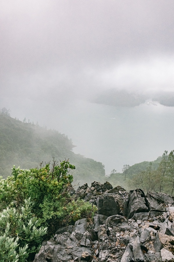 looking over the cliff at Shasta Lake - Lake Shasta Caverns Travel Guide | justonecookbook.com