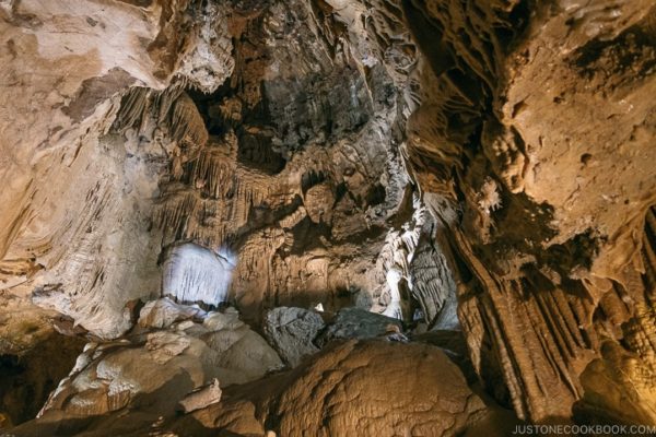 Lake Shasta Caverns | justonecookbook.com
