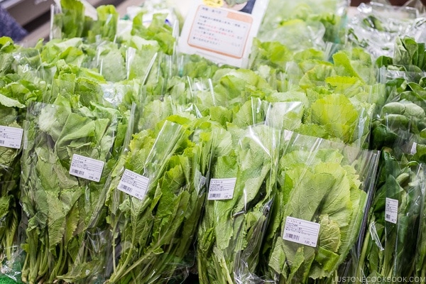 fresh mustard green in supermarket - Okinawa Travel Guide | justonecookbook.com