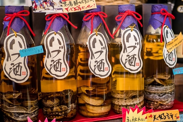 Snake liquor - Habu wine - Okinawa Travel Guide | justonecookbook.com