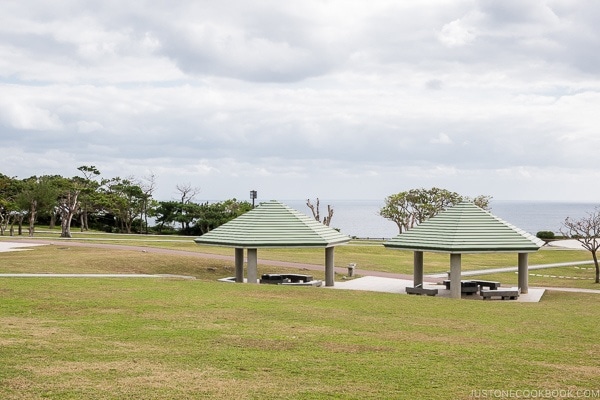 view of the ocean from the park at Okinawa Prefectural Peace Memorial Museum - Okinawa Travel Guide | justonecookbook.com