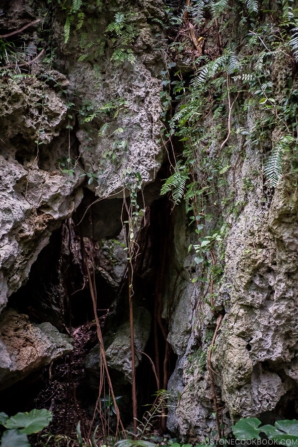 scenery of stone and plants at Seifa-utaki 斎場御嶽 - Okinawa Travel Guide | justonecookbook.com