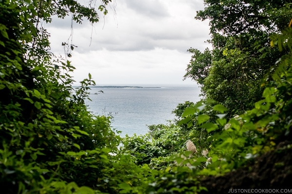 view of the ocean at Seifa-utaki 斎場御嶽 - Okinawa Travel Guide | justonecookbook.com