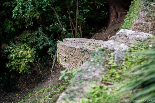 water dripping from stone structure at Shikinaen - Okinawa Travel Guide | justonecookbook.com