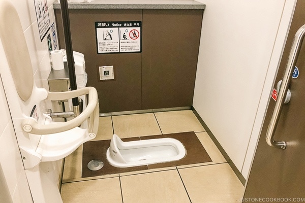 squatting style toilet
