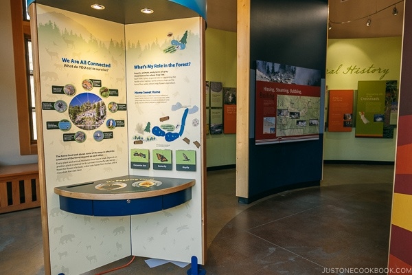 Volcano info and exhibits at Kohm Yah-mah-nee Visitor Center - Lassen Volcanic National Park Travel Guide | justonecookbook.com