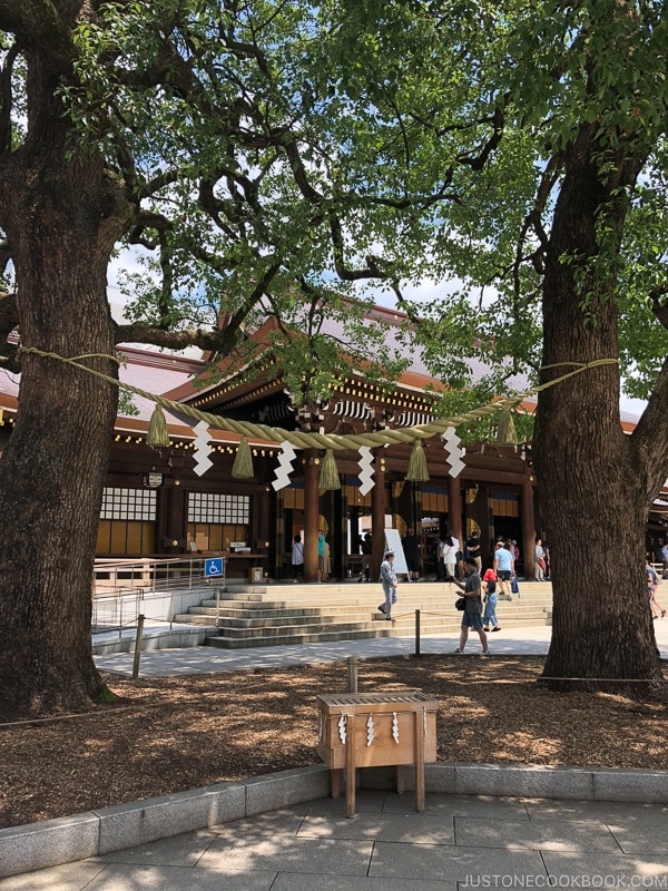 camphor trees with rope tied together - Meiji Jingu Guide | justonecookbook.com