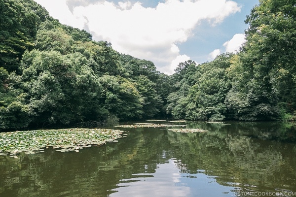 the pond at Meiji Jingu Gyoen - Meiji Jingu Guide | justonecookbook.com