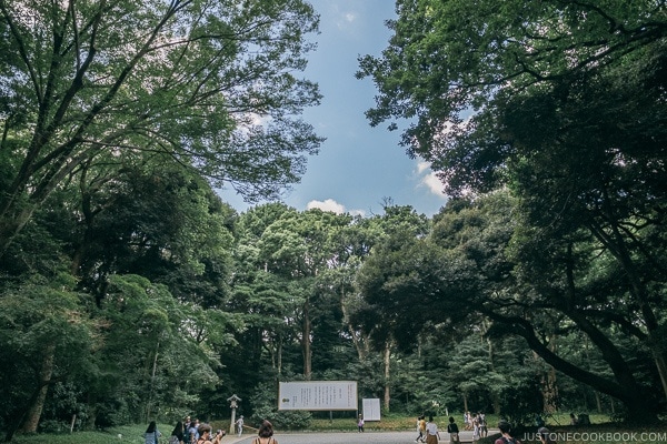 walkway to shrine - Meiji Jingu Guide | justonecookbook.com