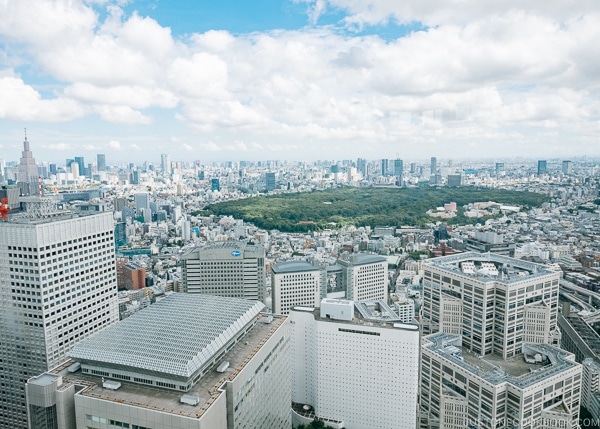 view of Tokyo skyline from Tokyo Metropolitan Government Building - Shinjuku Travel Guide | justonecookbook.com