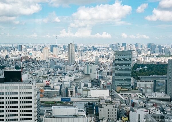 view of Tokyo skyline and Tokyo Skytree from Tokyo Metropolitan Government Building - Shinjuku Travel Guide | justonecookbook.com