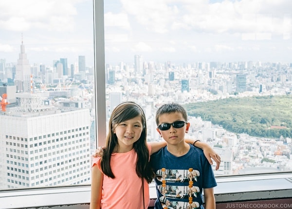 Just One Cookbook at Tokyo Metropolitan Government Building Observatory - Shinjuku Travel Guide | justonecookbook.com