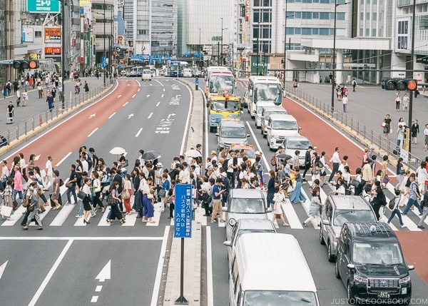 crosswalk at Shinjuku Station - Shinjuku Travel Guide | justonecookbook.com