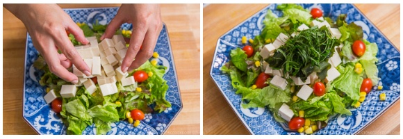 Tofu Salad with Sesame Ponzu Dressing 7