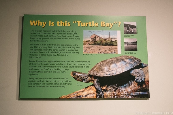 Why is this "Turtle Bay" sign at Turtle Bay Exploration Park - Redding California Travel Guide | justonecookbook.com