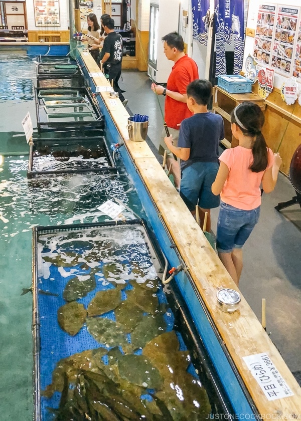 Live seafood tanks at Zauo Shinjuku - Shinjuku Travel Guide | justonecookbook.com