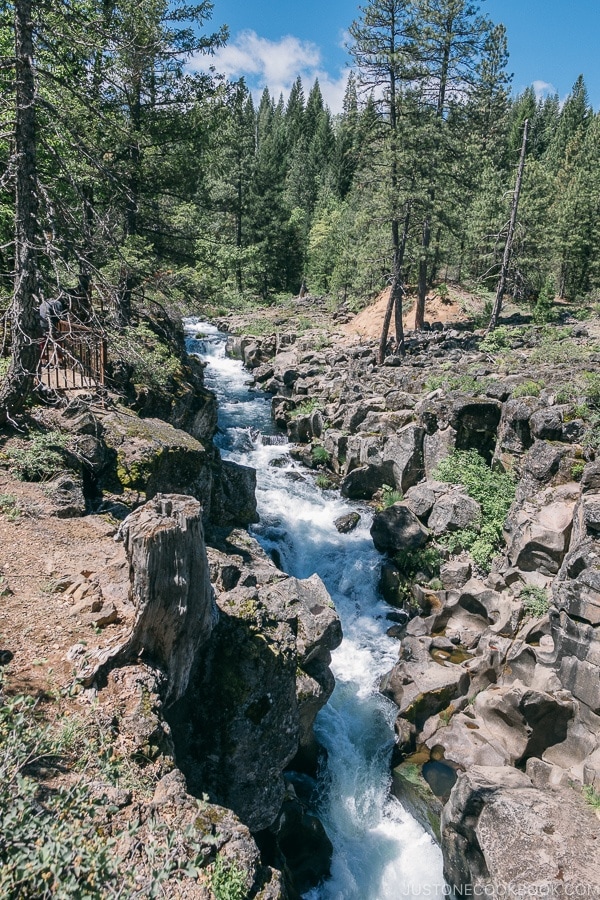 Upper Falls McCloud River - Mount Shasta Travel Guide | justonecookbook.com