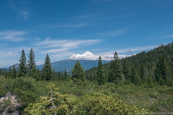 view of Mt. Shasta from Castle Lake area - Mount Shasta Travel Guide | justonecookbook.com
