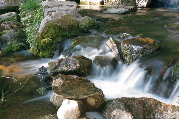 Headwaters Spring Mt. Shasta City Park - Mount Shasta Travel Guide | justonecookbook.com