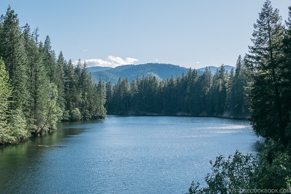 Lake Siskiyou - Mount Shasta Travel Guide | justonecookbook.com