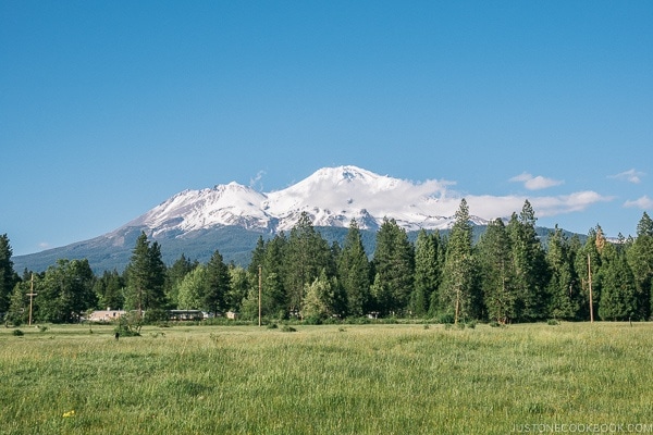 view of Mt. Shasta from Lake Siskiyou - Mount Shasta Travel Guide | justonecookbook.com